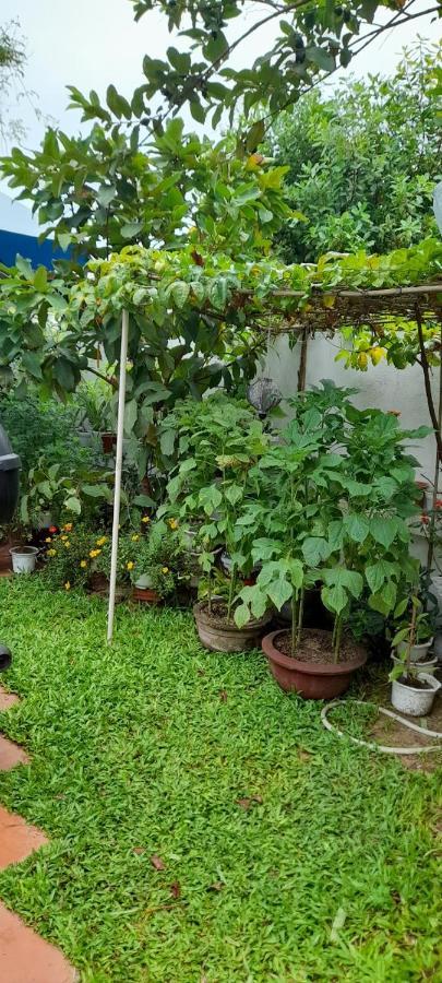 Apartamento Star Garden Hoi An Exterior foto